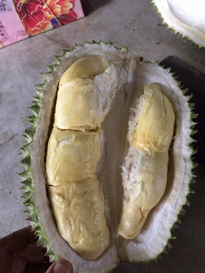 0bc287048aca4f1a8d036a07197c61f8