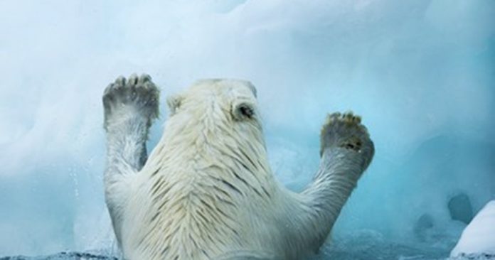 1122908087_15276377454971n