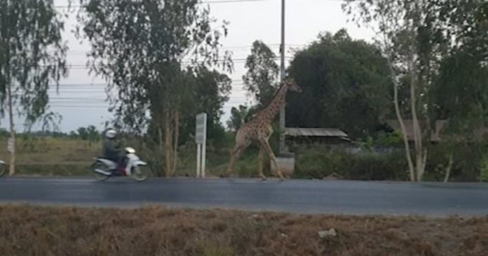 856ea7d21e9762ff1ae315a3b5e12346