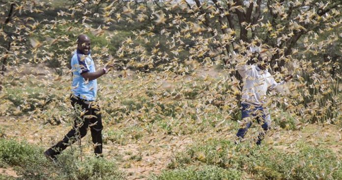 CCOQO53F2ZOGKQJVVKYPNCRBG4