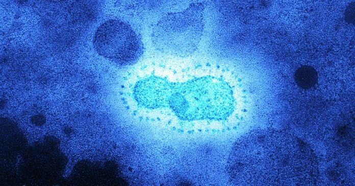 Science_coronavirus_SS2110024