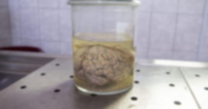 fbbcdc3c50764d73cdf95893e56f75bf-730x430