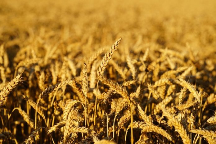 74e3151e807a4da60fb65a1f400827a7