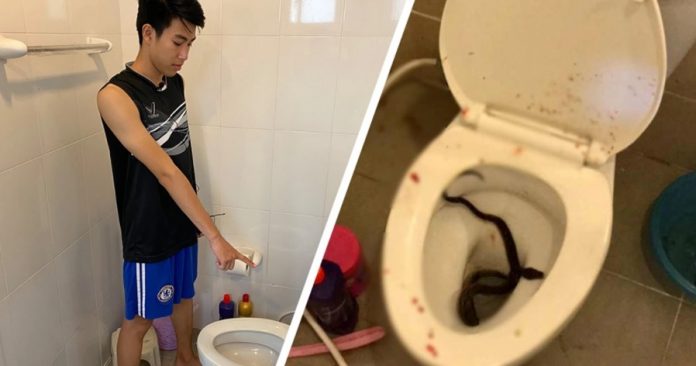 175623trcccoaboz8soxig