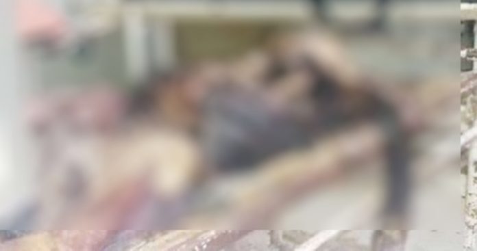 dead-body-news