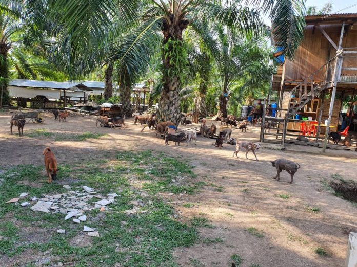 f319138f-65cf-42b0-924d-3ce82d8f00d2