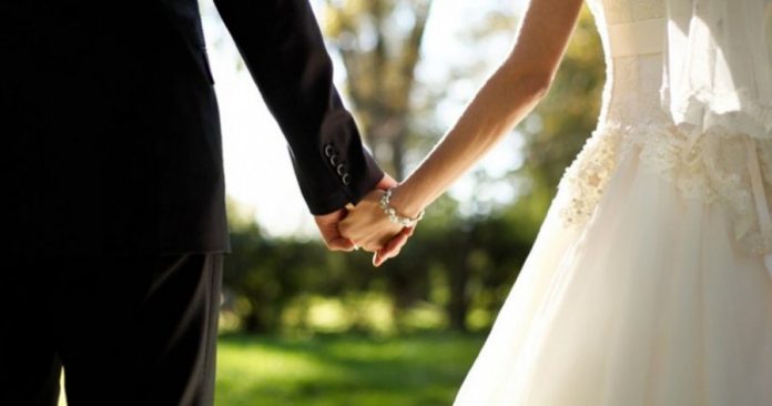 4019e827e8ea8db92c4c4e04387a0735