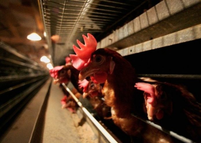 362c84047c04c19cea7e0832bdb5ee30