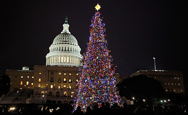 The-U.S.-Capitol-Tree