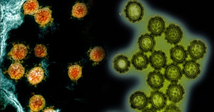 091820_TI_flu_feat-1028x579