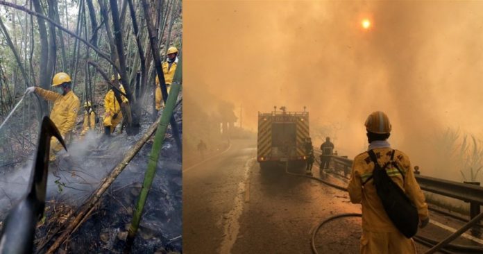 b8665ea88160d358775da62a470a25ae