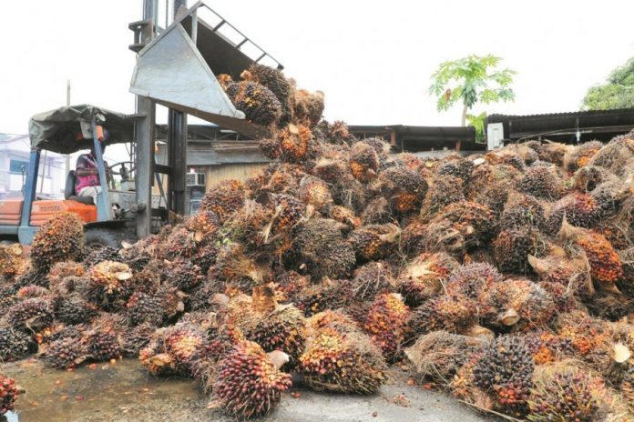 c4cb3be9afaf01806bb40d53e95a4ab1