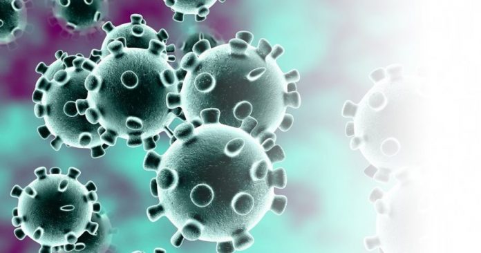 8785b848f253e6c0fd8ec62c9cd92348-696x366