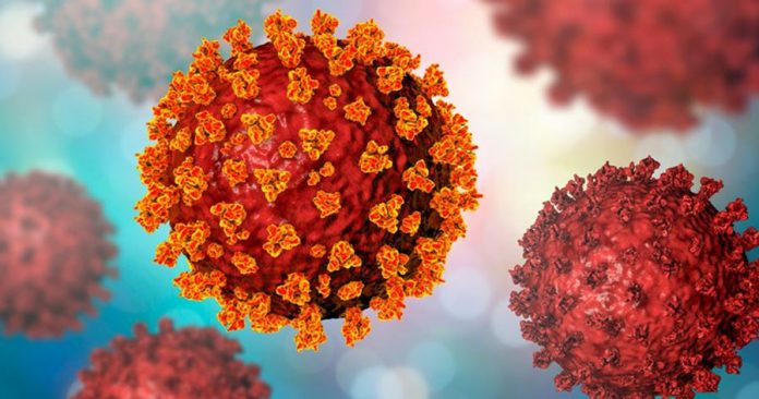 file-20201220-15-8e6s7s