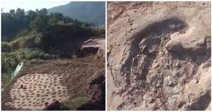 md-9eabe561a4dd2ef824cb7ab5b5674ecb