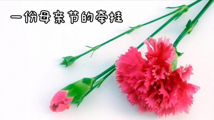 778e5e20-b911-4608-a55e-208a5c8a8566