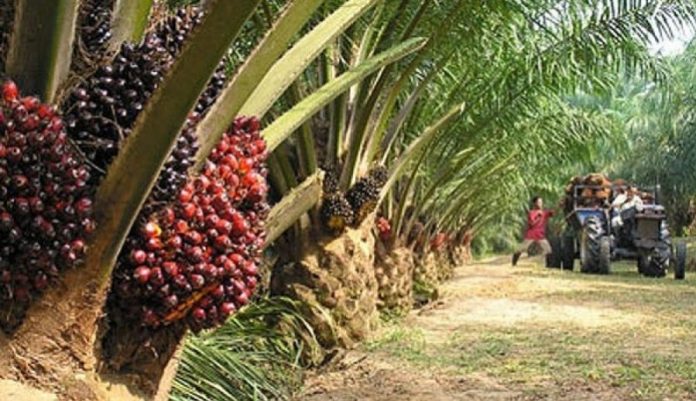 a3a559a7d066597f9c657b3e428be109