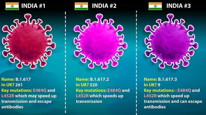capture-20210512-112207