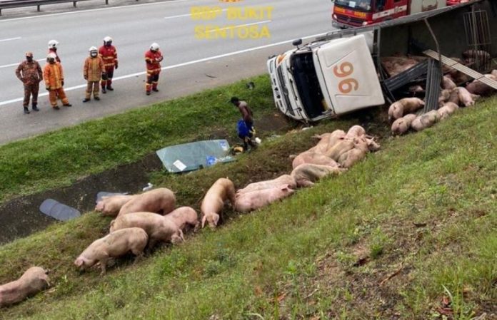 f934e5e70e9a0778be559ce6cd004da1