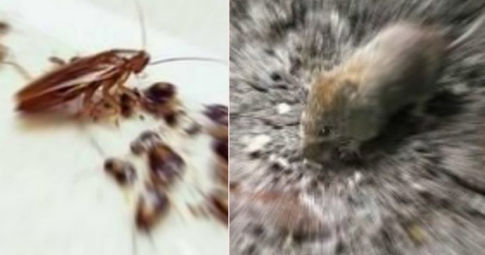 5e8400029b9803427a9f-side