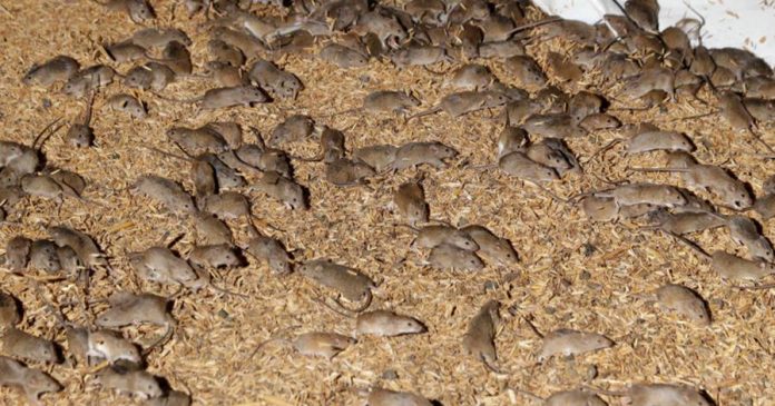 7e53e54f676c6827a2b1d7f134d88b36