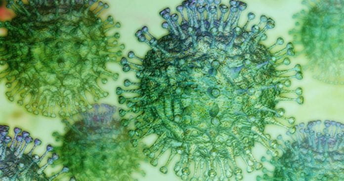Coronaviruses_H