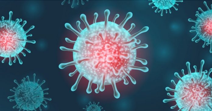 d0b312eaf7f1acd1f0d204dbeee8c13a