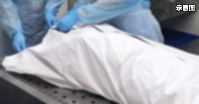 da51d34036648909e272c6489b241b4e-696x366