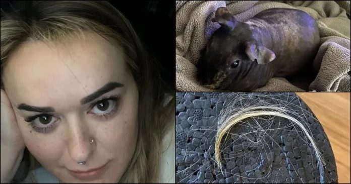 23b68542733189bc625c4f2121223af8