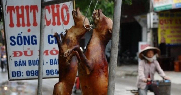 71b904e422a3238ff8cb2d0b169bc79b