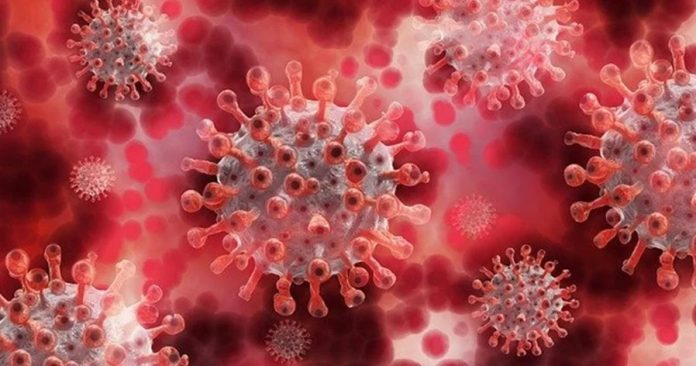 776d986397d914b54f86cbf65cda6c9e