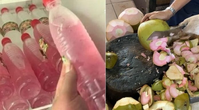 民众分享粉红色椰子水 “胭脂椰”稀少可遇不可求