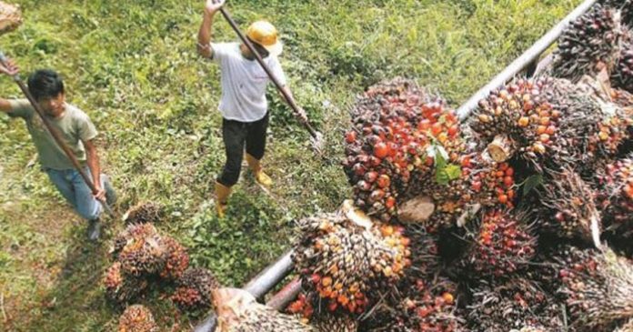 20190208hkhhkk1-696x391