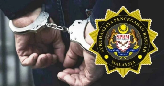 379abc25758110126ded40414745cb23