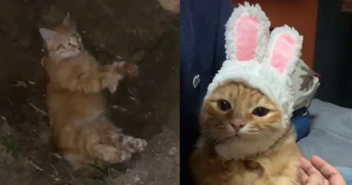 428f3117a4b849fe11babf044213809d