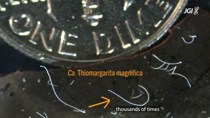 23b2f46cc5f5ac25fdb64092f27ba834