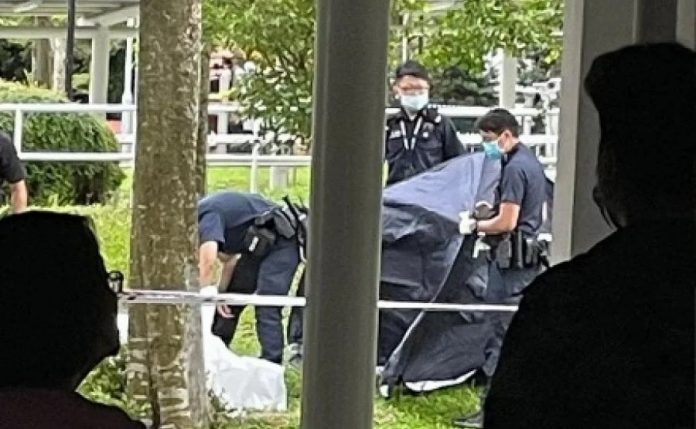 2b9fcf9c048813919ad4ad9e32aafaf9