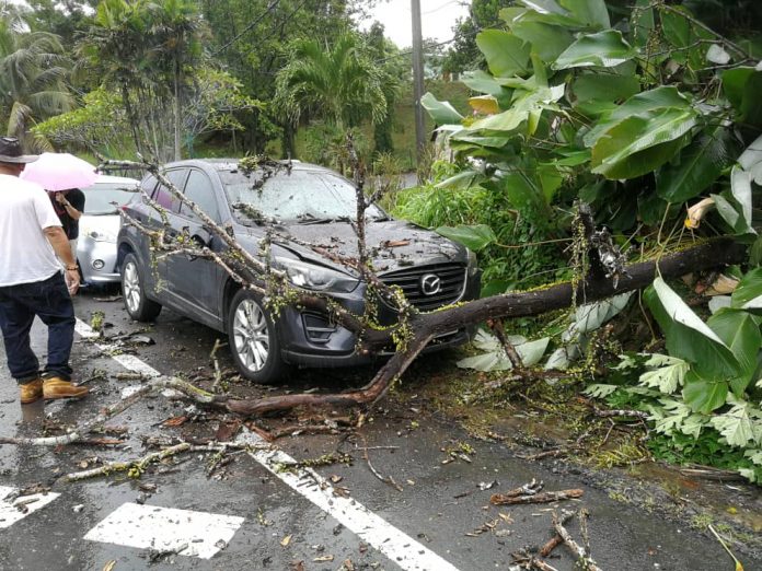 a2dc6930-4b69-43de-953c-2597e637ef02