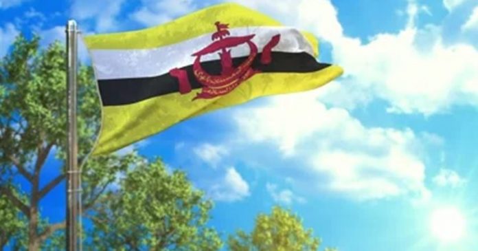 flag-brunei-darussalam-sunny-day-footage-165894595_iconl