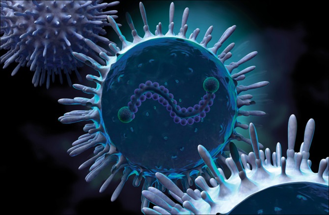 fx1