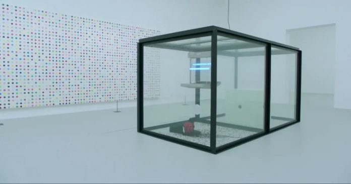 1ab049cbba57170f5004926a465bb8a9