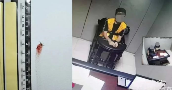 7df6828502e025949b32d53e11fdde6b