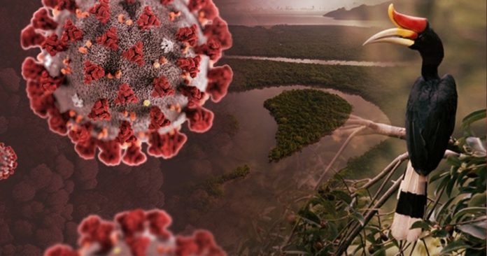 ae329dff-02ee-4d07-b899-0f2adcc473a9 (1)