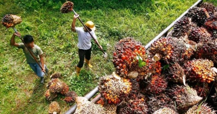 cc8e97baedd299d6346837bb031d8474