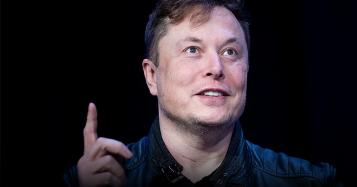 elun musk1b