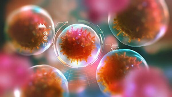 id13671339-virus-600x400-600x338