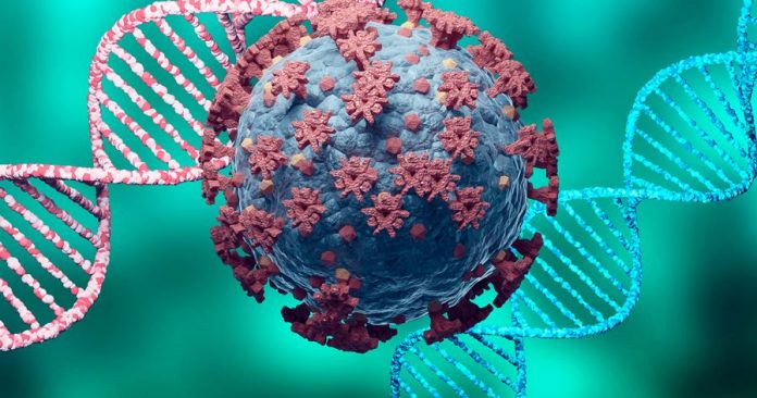 Tishkoff-Sirugo-COVID-genetics