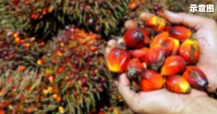 a155c6eeac614dfab17b2ba73eb17376