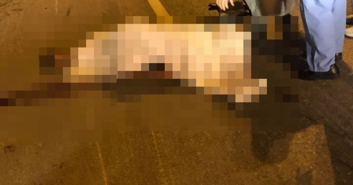 f0390e78-5d71-44c7-92ec-ae2375f89ab2