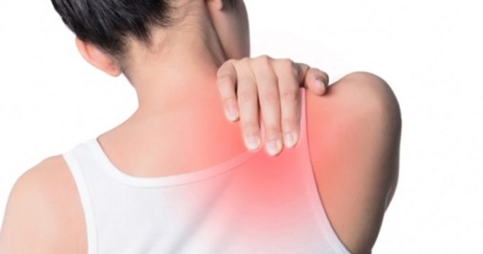 20190329121336-cf05d187-me